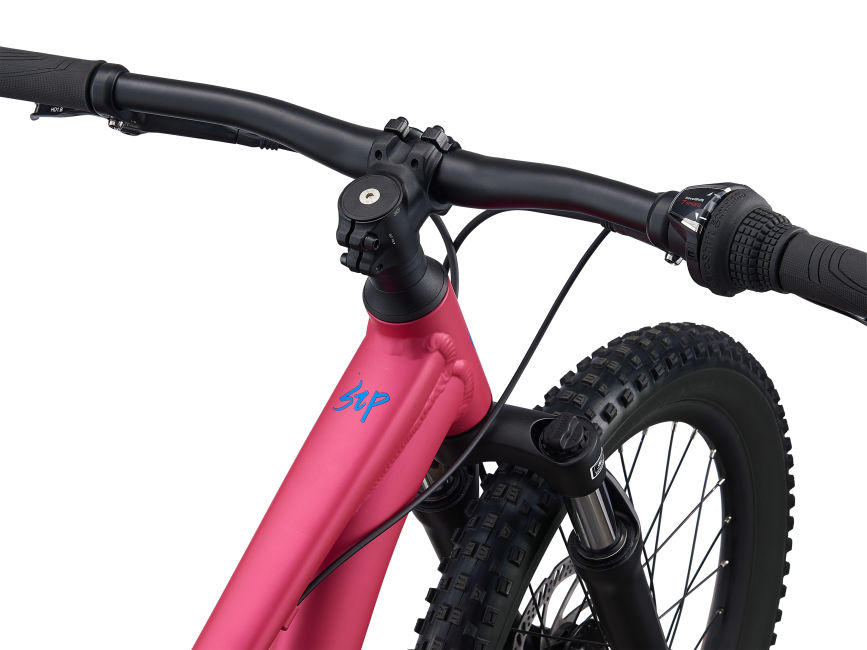 2022 Liv STP 20 FS | 20 Inch Girls Bike | Giant Bicycles Perth