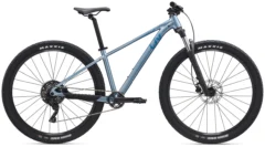 2025 Liv Tempt 2 - Frost Silver | Giant Bicycles Perth